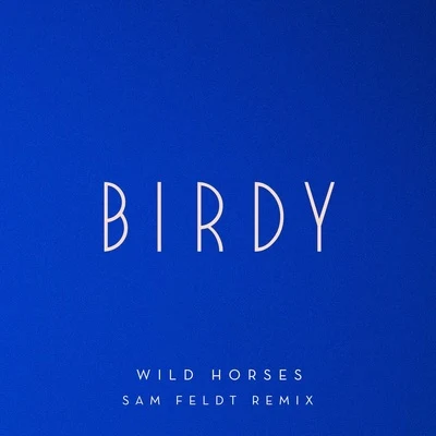 BIRDY Wild Horses (Sam Feldt Remix)