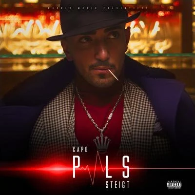 Puls steigt 專輯 CAPO/UG/Godilla/Shabaam Sahdeeq/Vinnie Paz