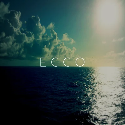 Ecco 专辑 Daffy/Mc-$kull/Quintino & Blasterjaxx