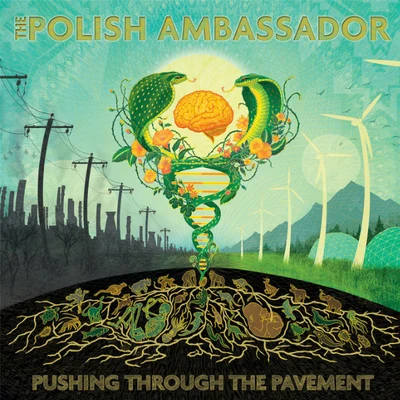 Pushing Through The Pavement 專輯 Ayla Nereo/The Polish Ambassador/Wildlight