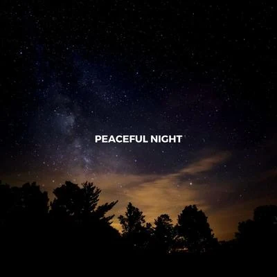 Peaceful Night 专辑 All Night Sleeping Songs to Help You Relax