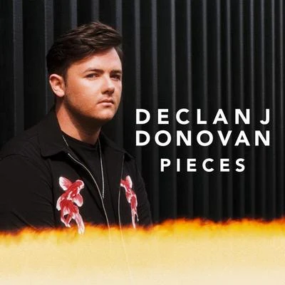 Declan J DonovanLost Frequencies Pieces