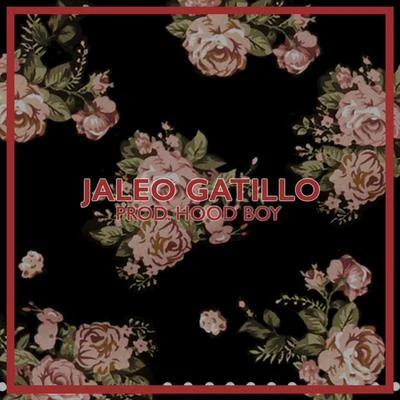 Jaleo Gatillo 专辑 DELLAFUENTE/Ana Mena