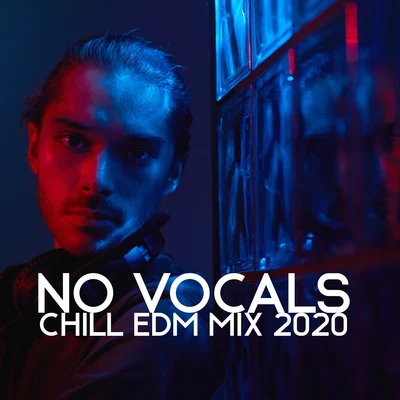 No Vocals: Chill Edm Mix 2020 專輯 DJ Infinity Night/Academia de Música para la Fiesta en la Playa