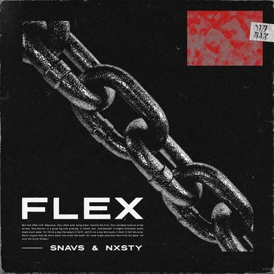 Flex 专辑 NXSTY