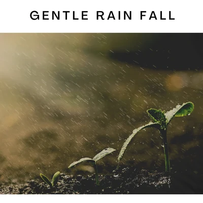 Gentle Rain Fall 專輯 ASMR Earth