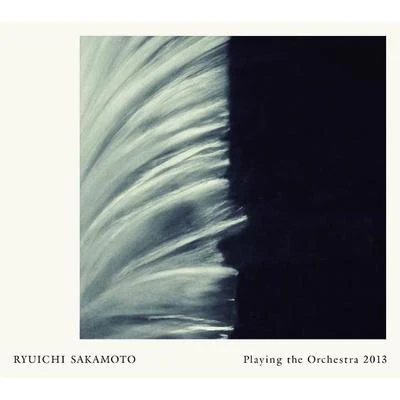 Playing the Orchestra 2013 專輯 坂本龍一