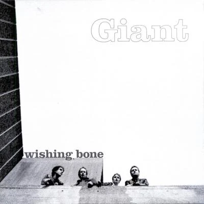 Wishing Bone EP 專輯 Giant/JA/Swings/엄지희/Beenzino