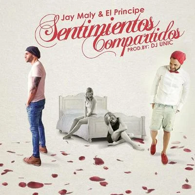 Sentimientos Compartidos (feat. El Principe) 专辑 Anubix/Franny El Fenomeno/Jay Maly