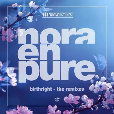 Birthright (The Remixes) 專輯 Nora En Pure/Passenger 10