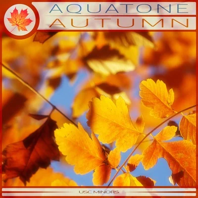 Autumn (Radio Edit) 專輯 Magnosis/Aquatone