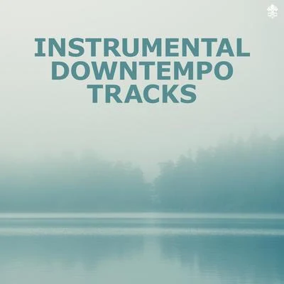 Instrumental Downtempo Tracks 專輯 New Edge