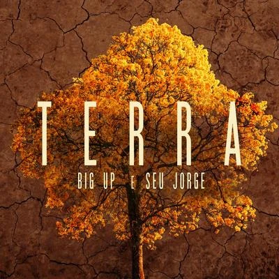 Seu Jorge Terra