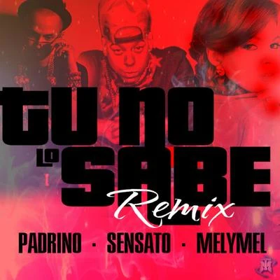 Tu No Lo Sabe (feat. Padrino Lzf & MelyMel) 专辑 Sensato