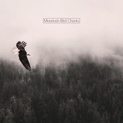 Bird Song Group Mountain Bird Chants - Relaxing Sounds of Birds Combined with Instrumental Melodies Will Let You Break Away from Urban Traffic