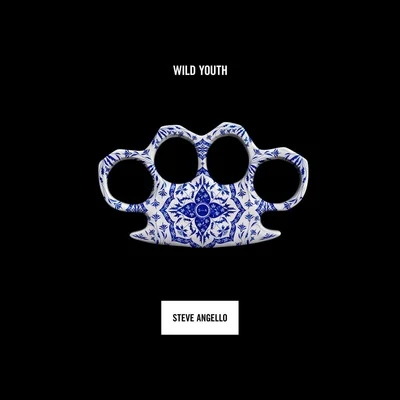 Wild Youth 專輯 Steve Angello