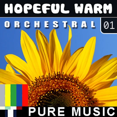 Hopeful Warm: Orchestral, Vol. 1 專輯 Raney Shockne/Robert Pegg/The Vines/Hanover Swain/Wenzel Templeton