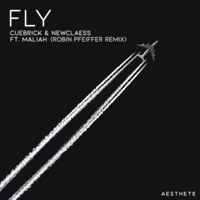 Fly (Robin Pfeiffer Remix) 專輯 Newclaess