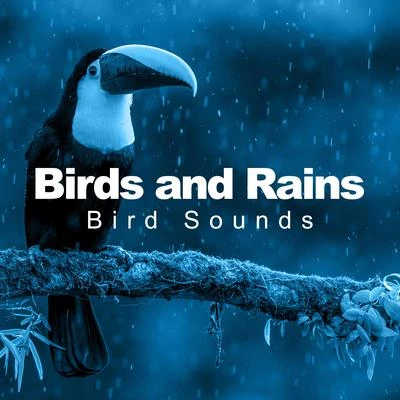 Birds and Rains 专辑 Bird Song Group/Bird Sounds