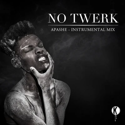 No Twerk Instrumental 專輯 Apashe