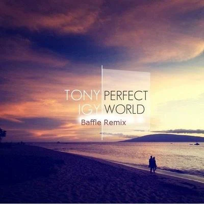 Perfect World (Baffle Remix) 专辑 Tony Igy