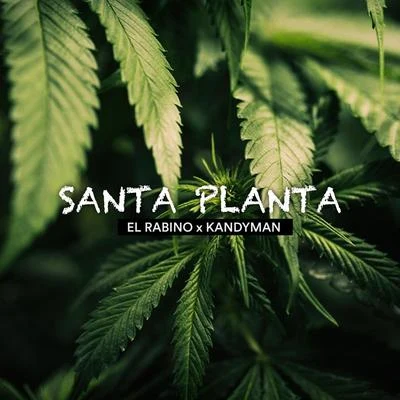 Santa Planta 專輯 El Rabino