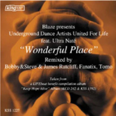 A Wonderful Place 專輯 UDAUFL