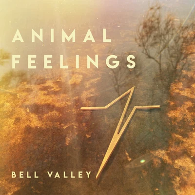 Bell Valley 专辑 Animal Feelings