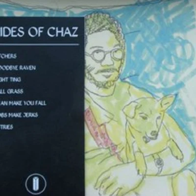 Sides of Chaz 專輯 Toro y Moi