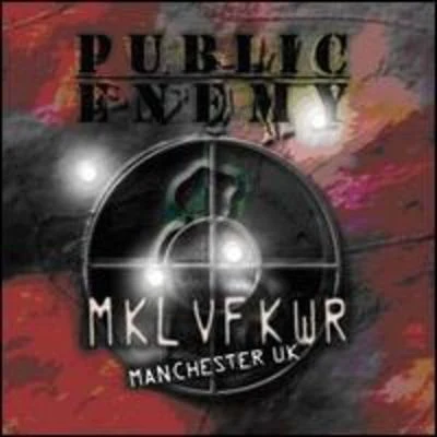 Revolverlution Tour 2003 [live] 专辑 Public Enemy