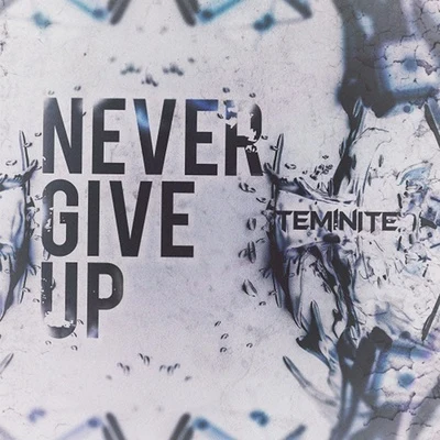 Never Give Up 专辑 Teminite/PsoGnar