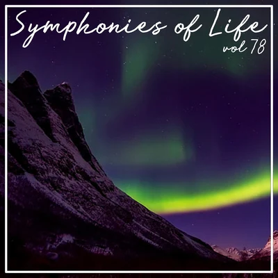 Symphonies of Life, Vol. 78 - Bach: Musik Der Bach Familie 專輯 Barbara Schlick/De Nederlandse Bachvereniging/Sacramentskoor Breda/Christoph Prégardien/Peter Kooy