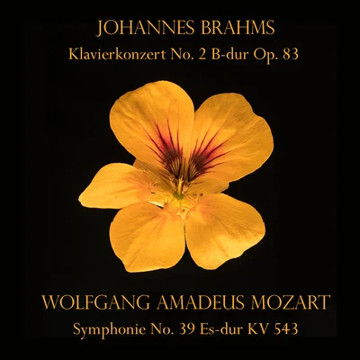 Johannes Brahms: Klavierkonzert No. 2 B-dur Op. 83Wolfgang Amadeus Mozart: Symphonie No. 39 Es-dur KV 543 專輯 Wilhelm Furtwängler