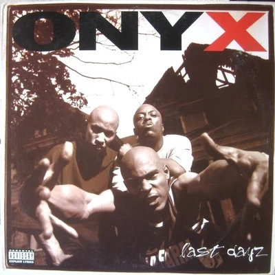 onyx Last Dayz