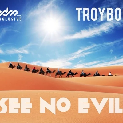 See No Evil 專輯 TroyBoi/Destructo