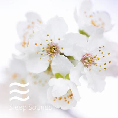 Drowsy Melodies of Brown Noise and White Noise for Excellent Sleep All Night 专辑 Sleep Sounds Ambient Noises/White Noise/Baby Sleep Spot