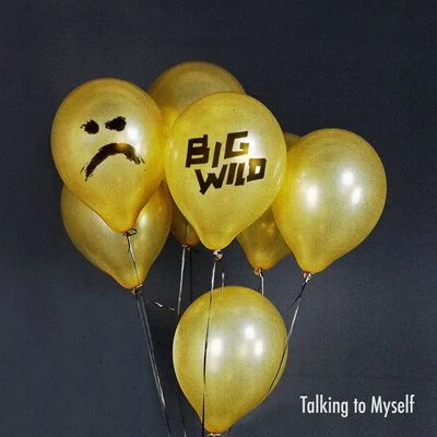 Talking to Myself (Big Wild Remix) 專輯 Big Wild