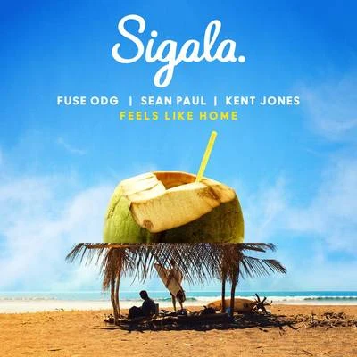 Feels Like Home 專輯 Sigala