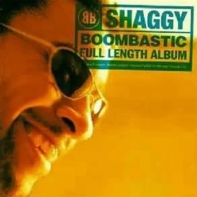 Boombastic 專輯 Shaggy/Ricardo Ducent/Tenchi/Moss Kena/Embody