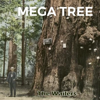 The Wailers Mega Tree