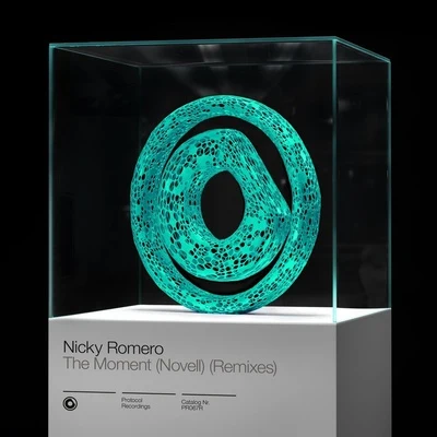 Nicky RomeroDavid Guetta The Moment (Novell) [Remixes]