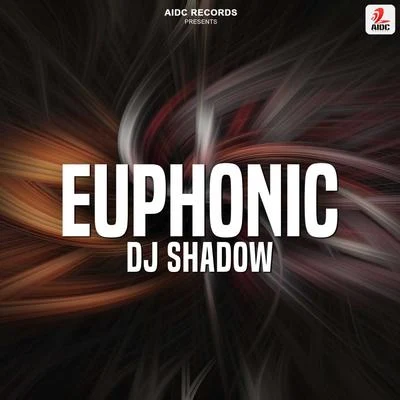 Euphonic 專輯 DJ Shadow/Little Dragon