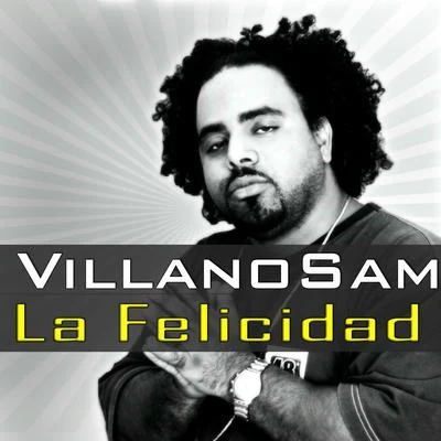 La Felicidad-Single 專輯 Vic J/Villanosam/Mr. Wave