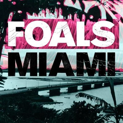 Foals Miami