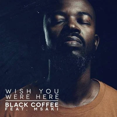 Wish You Were Here 專輯 Black Coffee/David Guetta