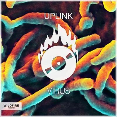 Virus 專輯 Uplink