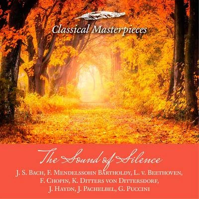 The Sound of Silence -J. S. Bach,F. Mendelssohn Barholdy, L. v. Beethoven, f. Chopin, K. Ditters von Dittersdorf,J. Haydn, J. Pachelbel,G. Puccini (Cl 专辑 Kammerorchester Arcata Stuttgart