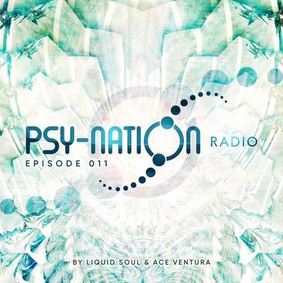 Psy-Nation Radio - Episode 011 (Compiled by Liquid Soul & Ace Ventura) 專輯 Ace Ventura/Astrix