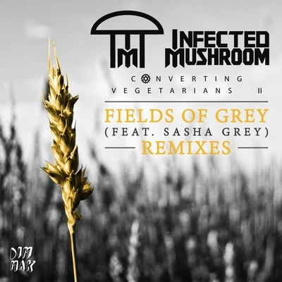 Fields of Grey (Remixes) 專輯 Infected Mushroom