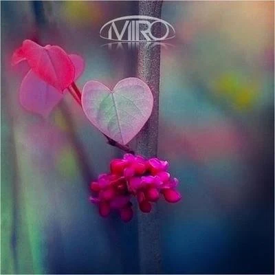 For All Our Forgotten Friends 專輯 Miro